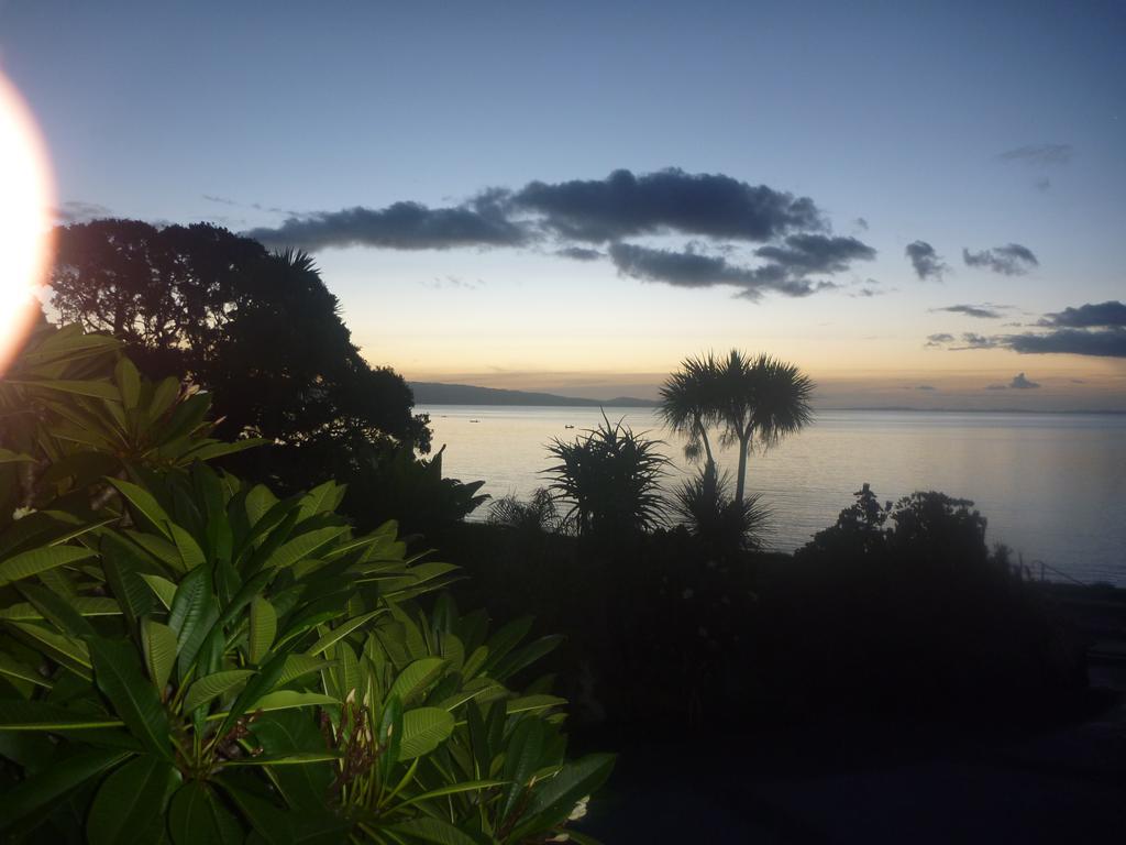 Pohutukawa Coast Bnb Te Puru Εξωτερικό φωτογραφία