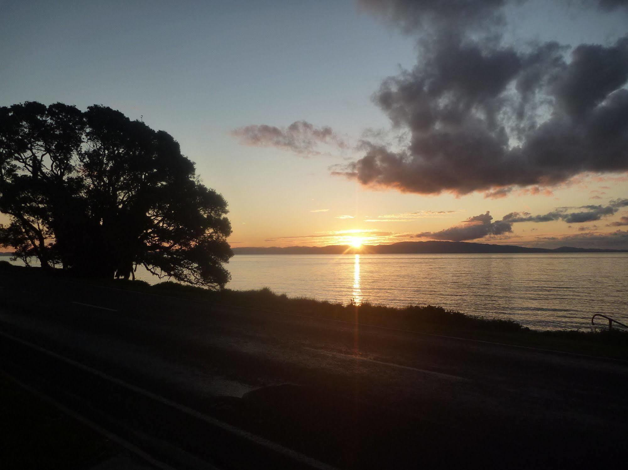 Pohutukawa Coast Bnb Te Puru Εξωτερικό φωτογραφία